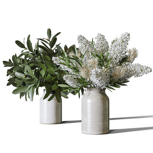 Flower Set 096 3D model