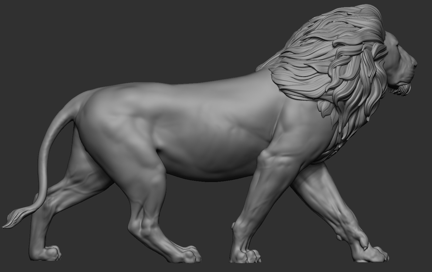 Lions 3D print model_13