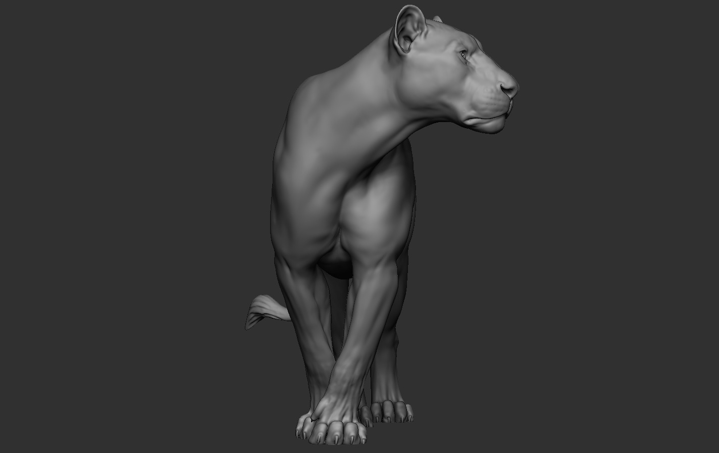 Lions 3D print model_16