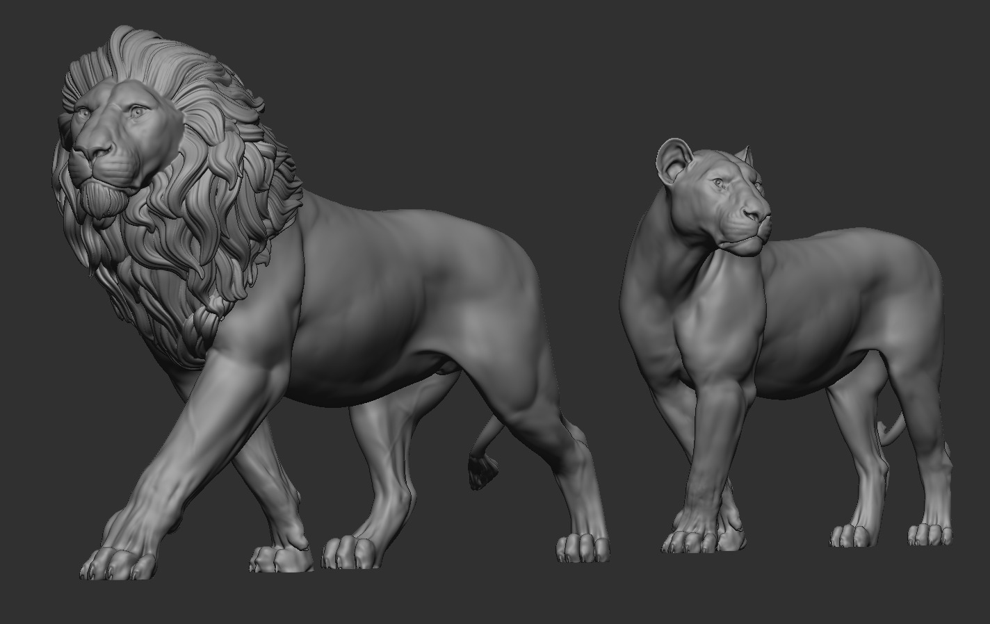 Lions 3D print model_10