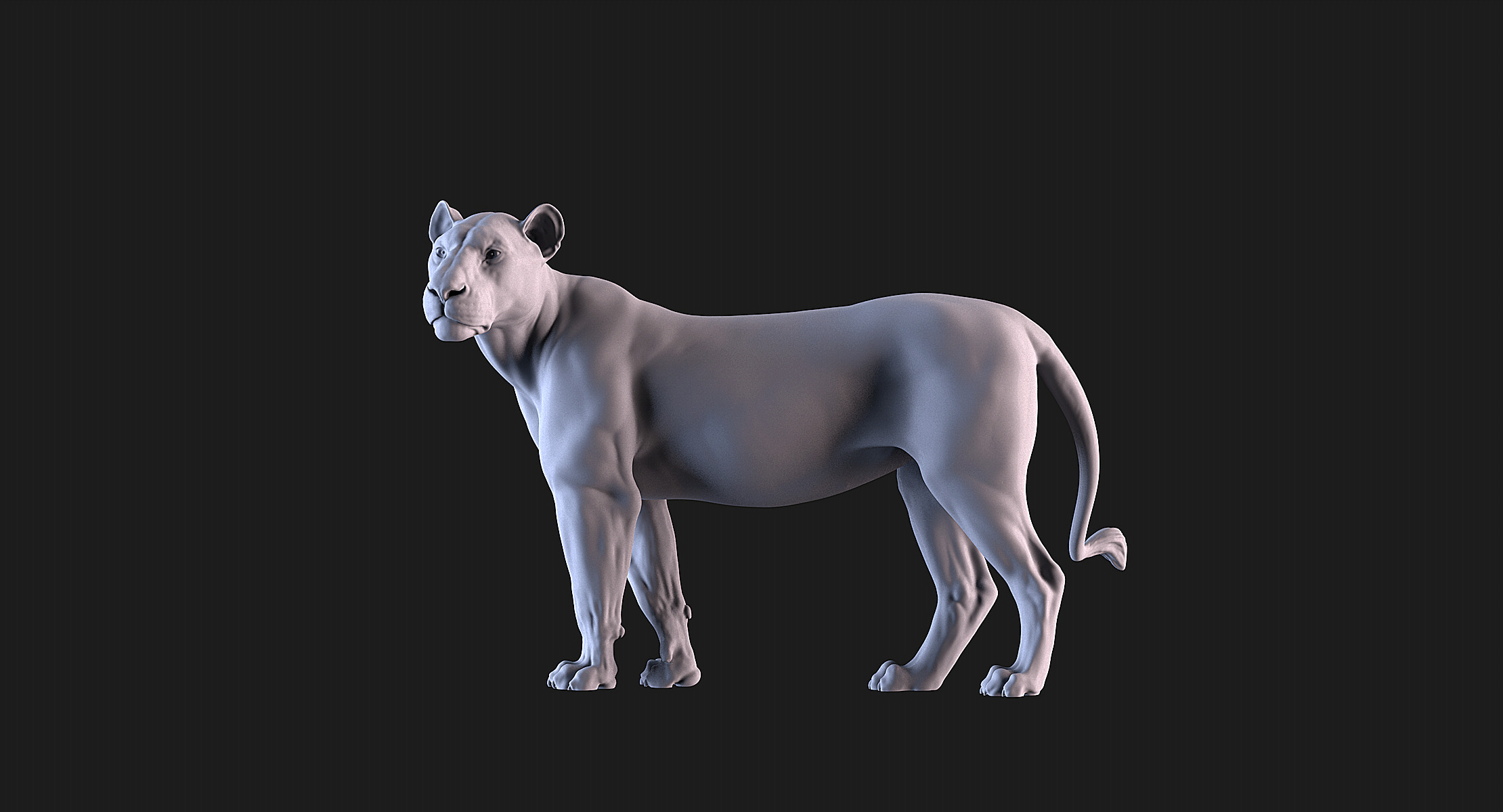 Lions 3D print model_4