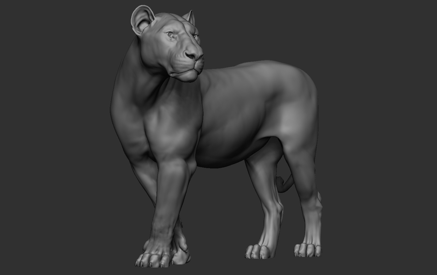 Lions 3D print model_15