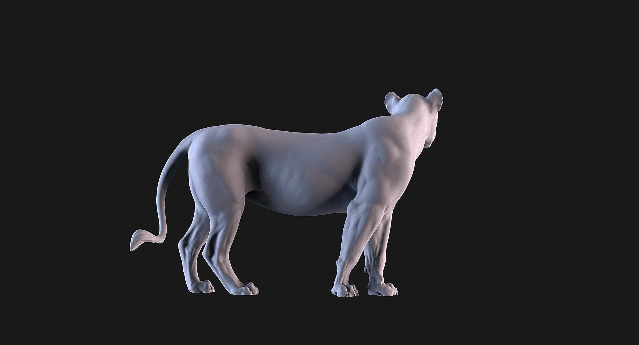 Lions 3D print model_6