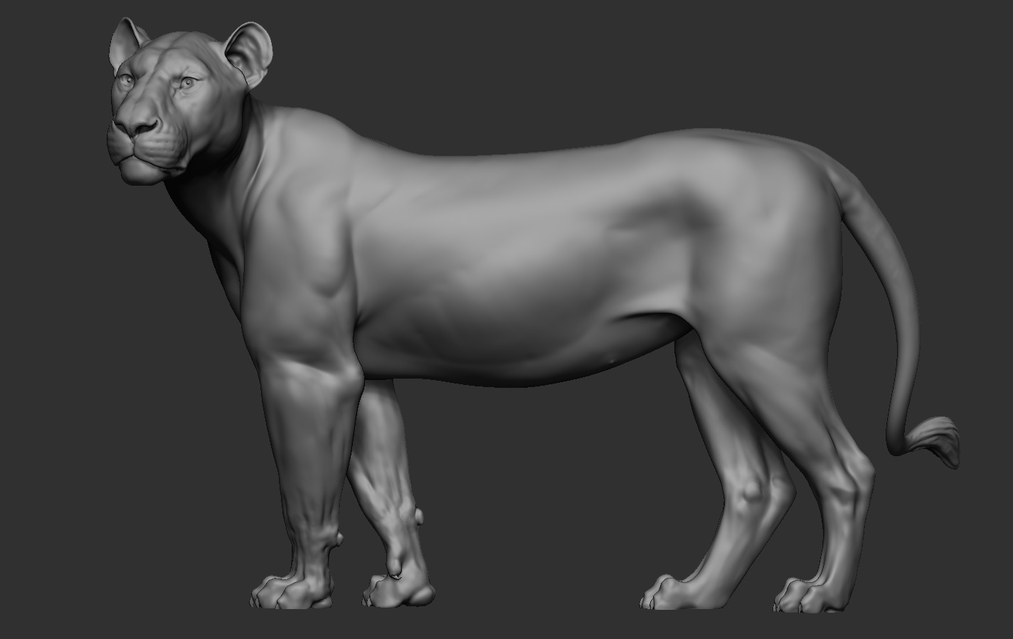 Lions 3D print model_14