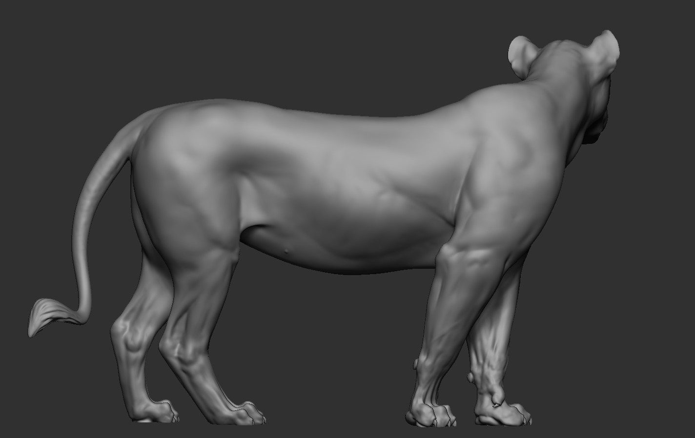 Lions 3D print model_17