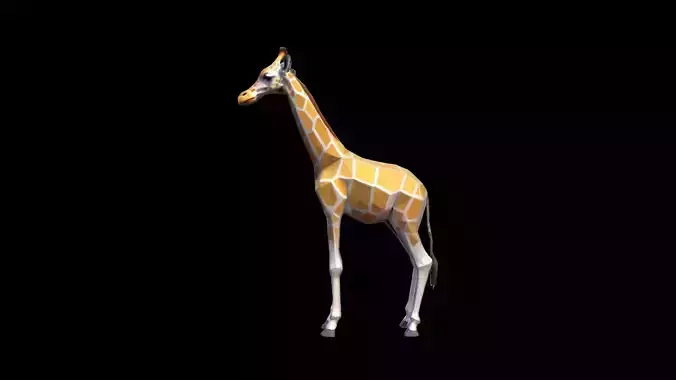 3d Model Giraffes Are The Tallest Land Animals