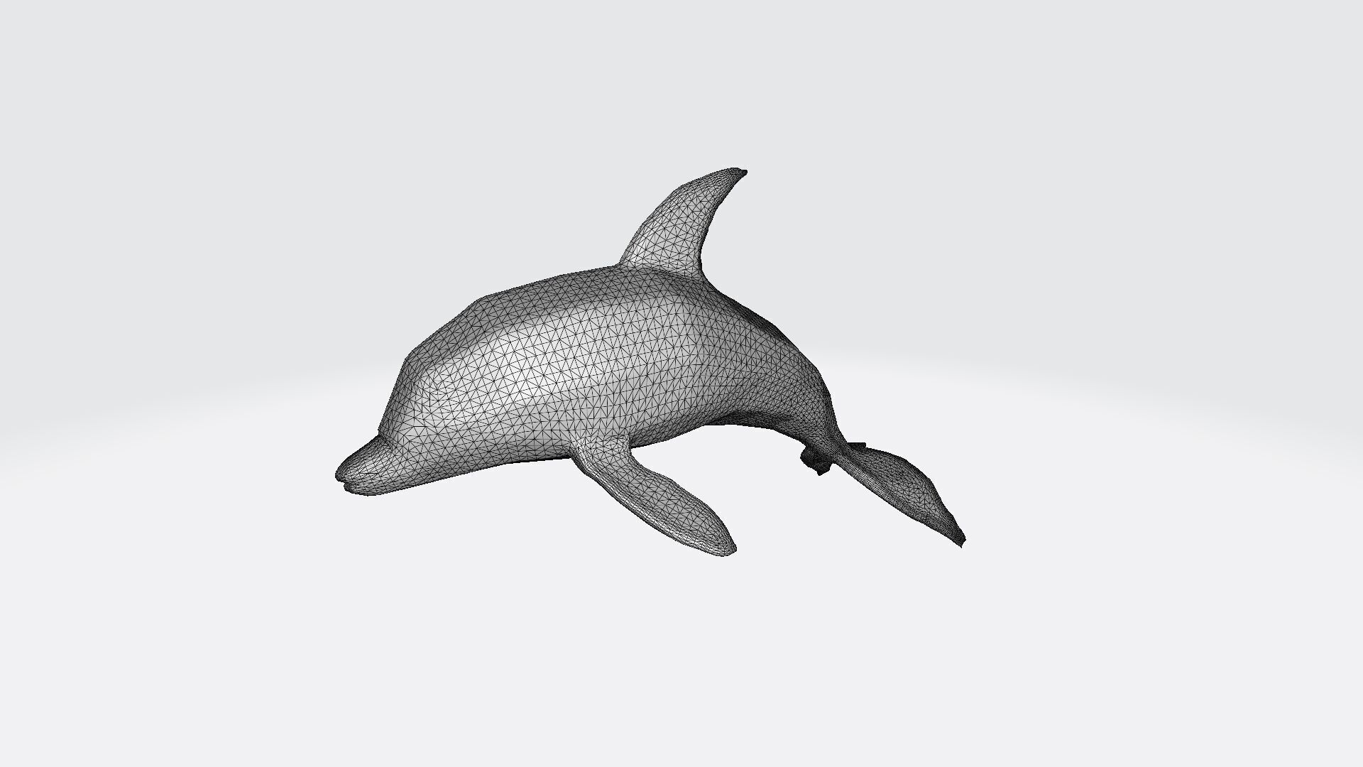 3d Model Bottlenose Dolphin In A Blue Water 3D model_6