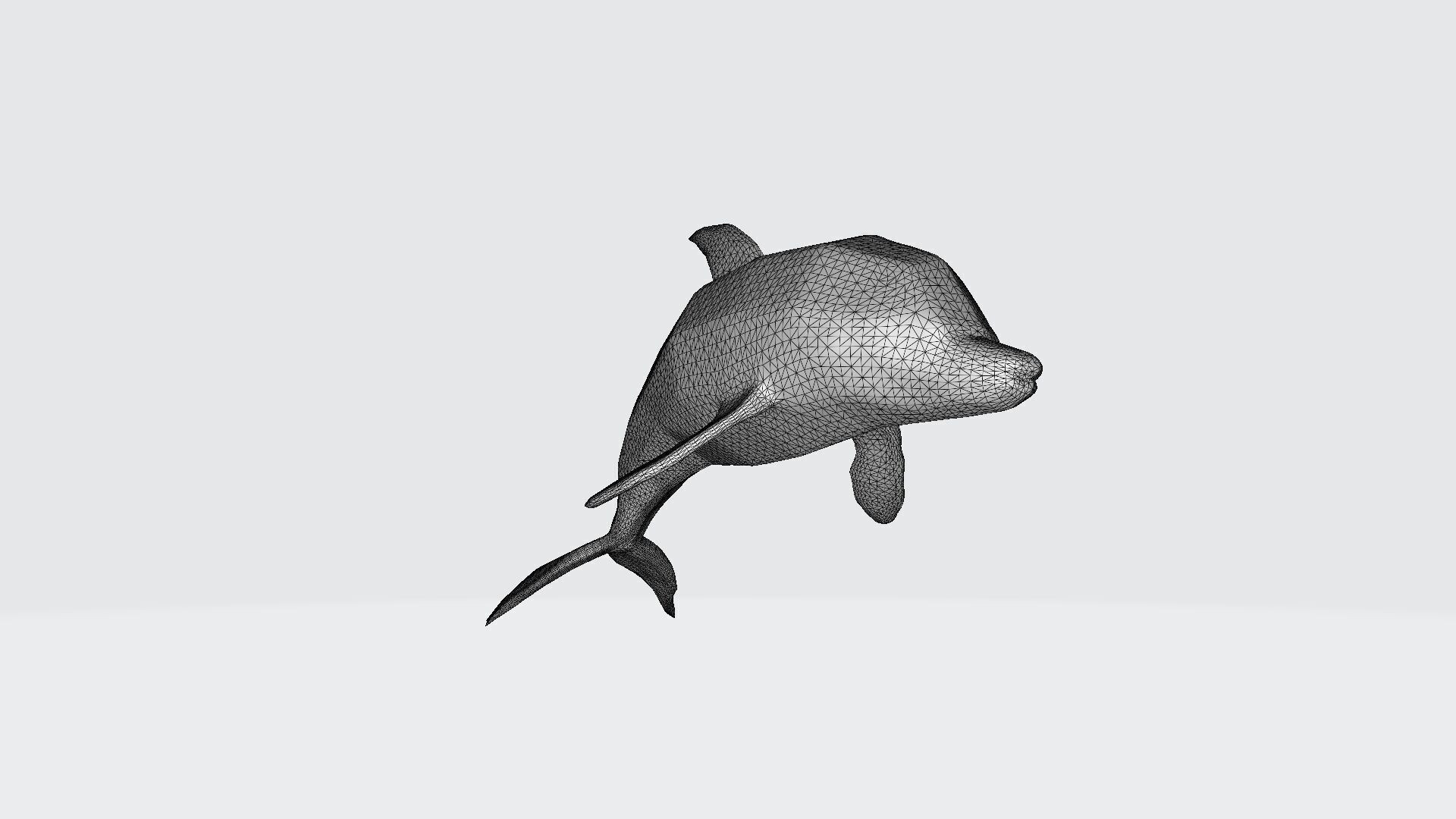 3d Model Bottlenose Dolphin In A Blue Water 3D model_7