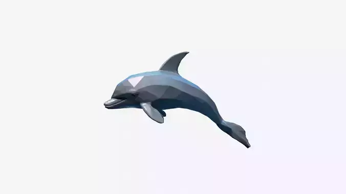 3d Model Bottlenose Dolphin In A Blue Water