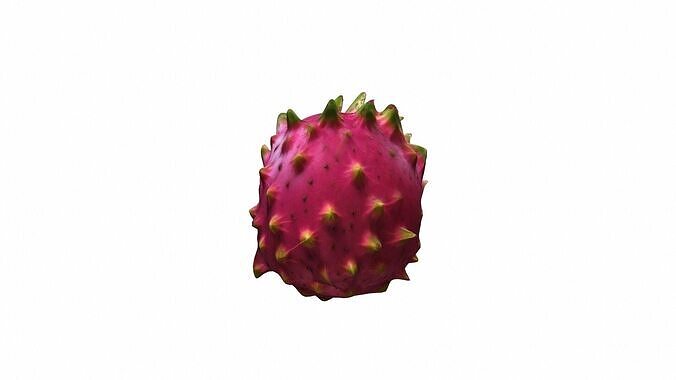 3d Model Dragon Is A Brightly Coloured Tropical Fruit  3D model 4