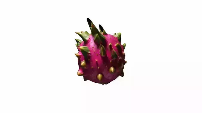 3d Model Dragon Is A Brightly Coloured Tropical Fruit 