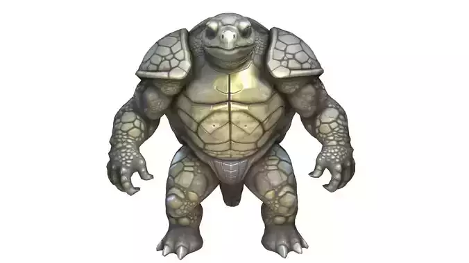 Turtle warrior character