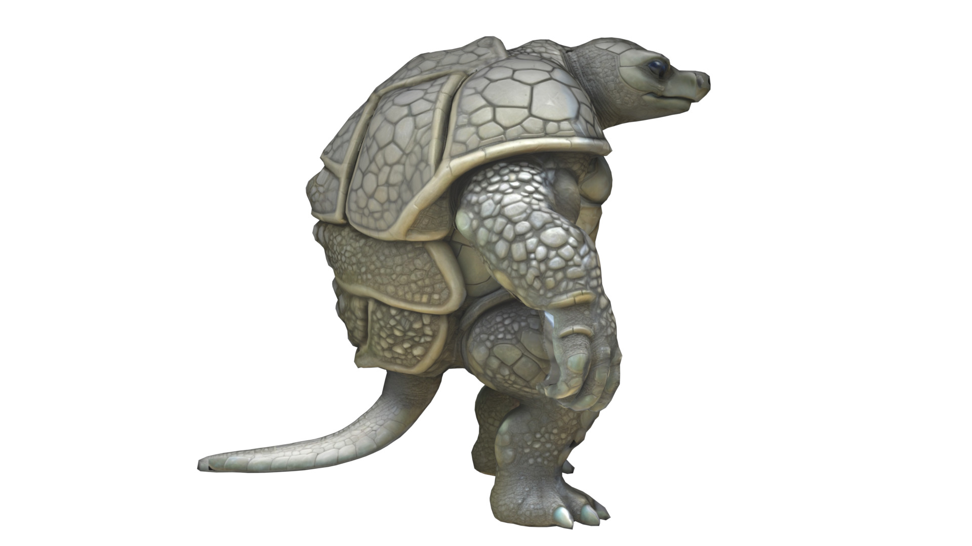 Turtle warrior character Low-poly 3D model_1