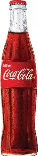 Coca-Cola Bottle 290 ml