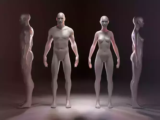 Realistic Rigged Human Male Female Charachter Mannequin 3D Model Collection