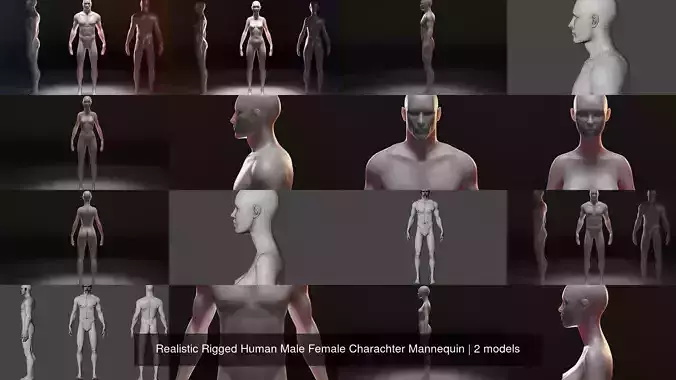 Realistic Rigged Human Male Female Charachter Mannequin