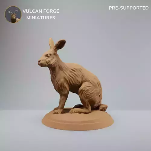 Rabbit Hare Sitting pre supported
