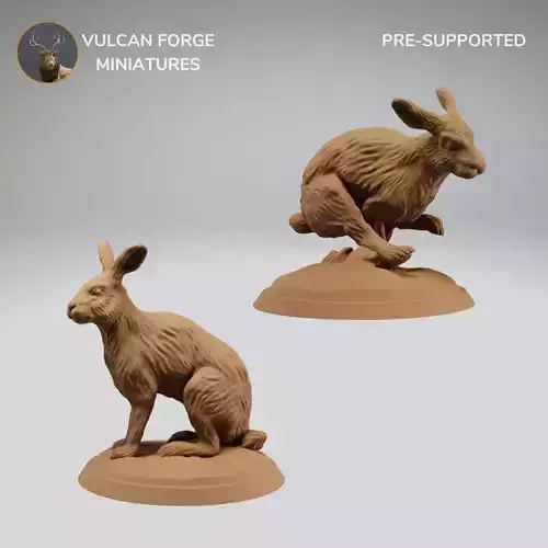 Rabbit Hare Running and Sitting Bundle