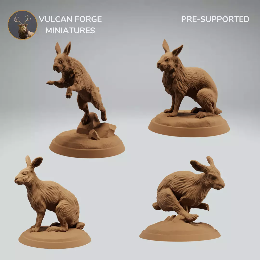 Rabbit Hare Running Jumping and Sitting Bundle 3D print model
