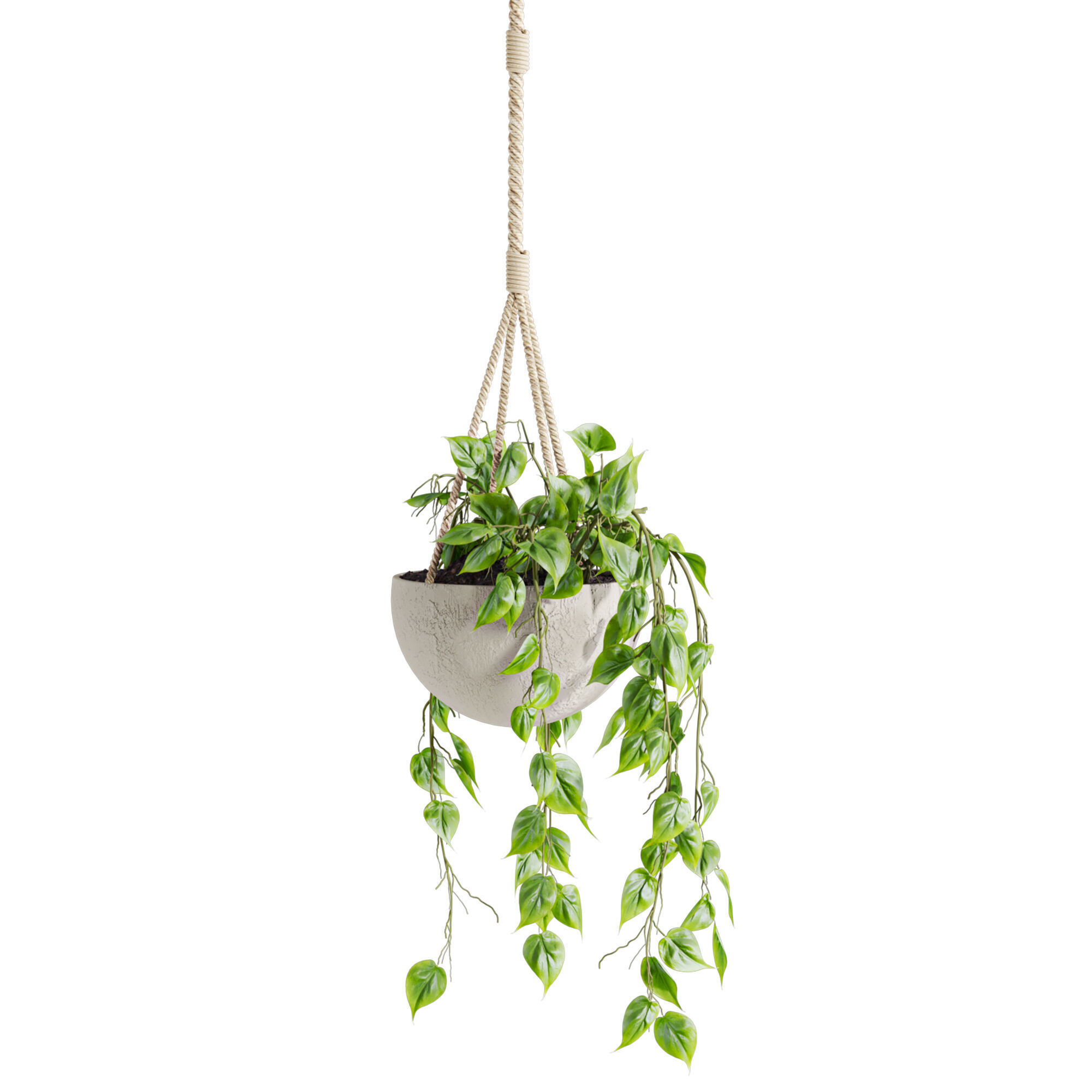 hanging plants 3D model_3