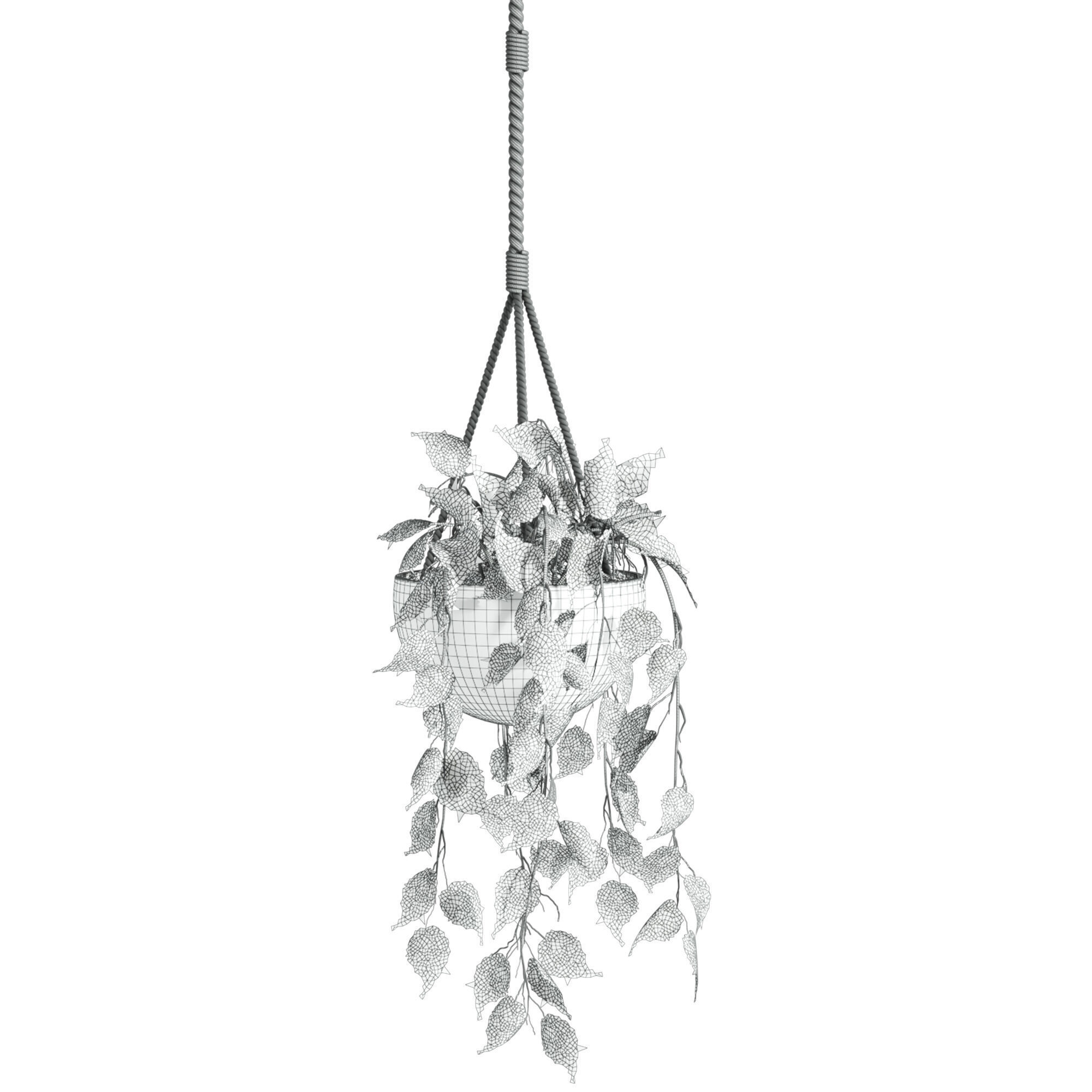 hanging plants 3D model_5