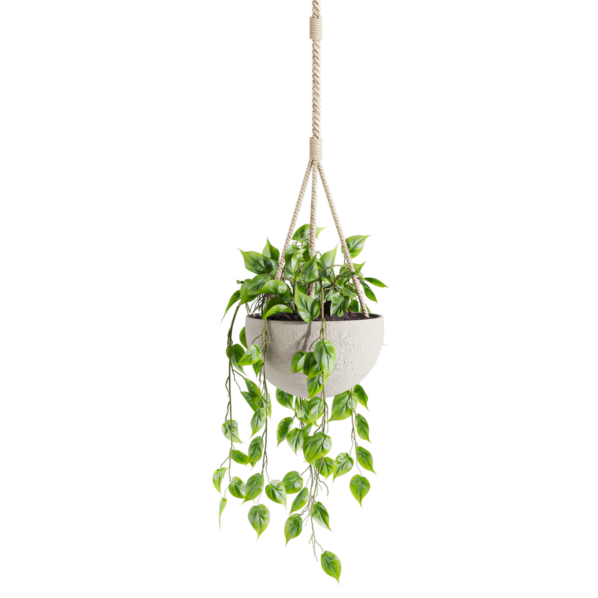 hanging plants 3D model_1