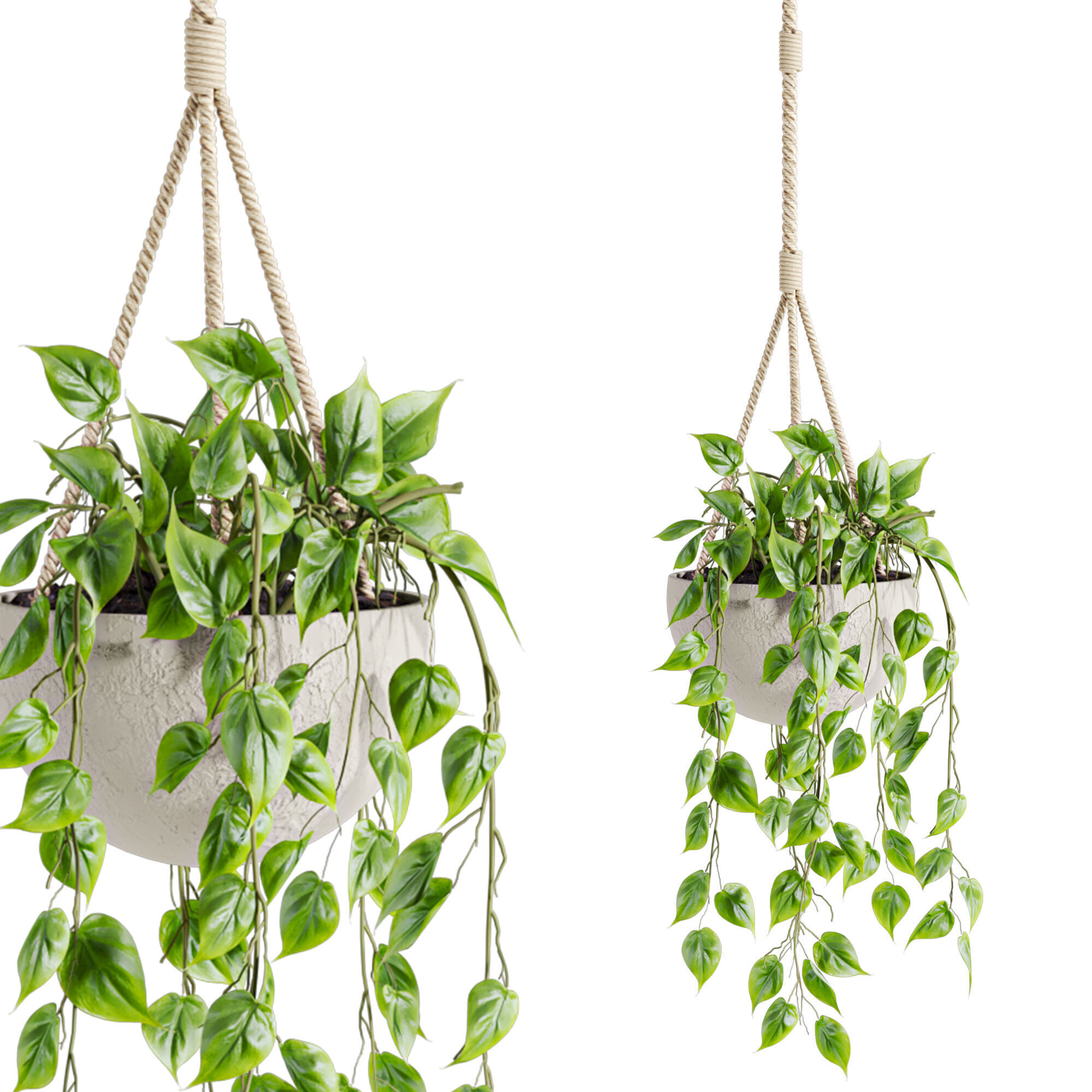 hanging plants 3D model_4