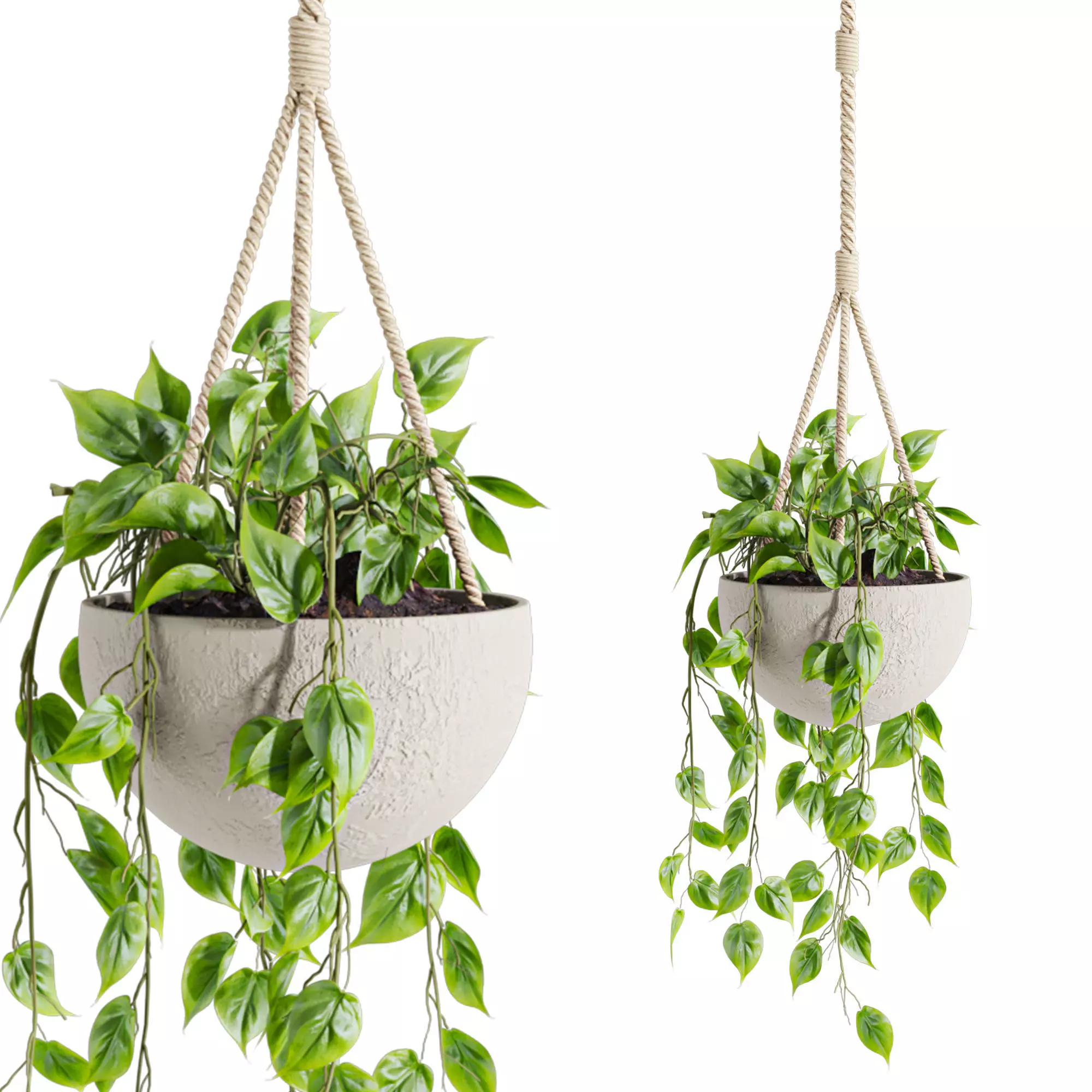 hanging plants 3D model_0