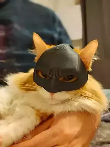 Batman Cat mask 