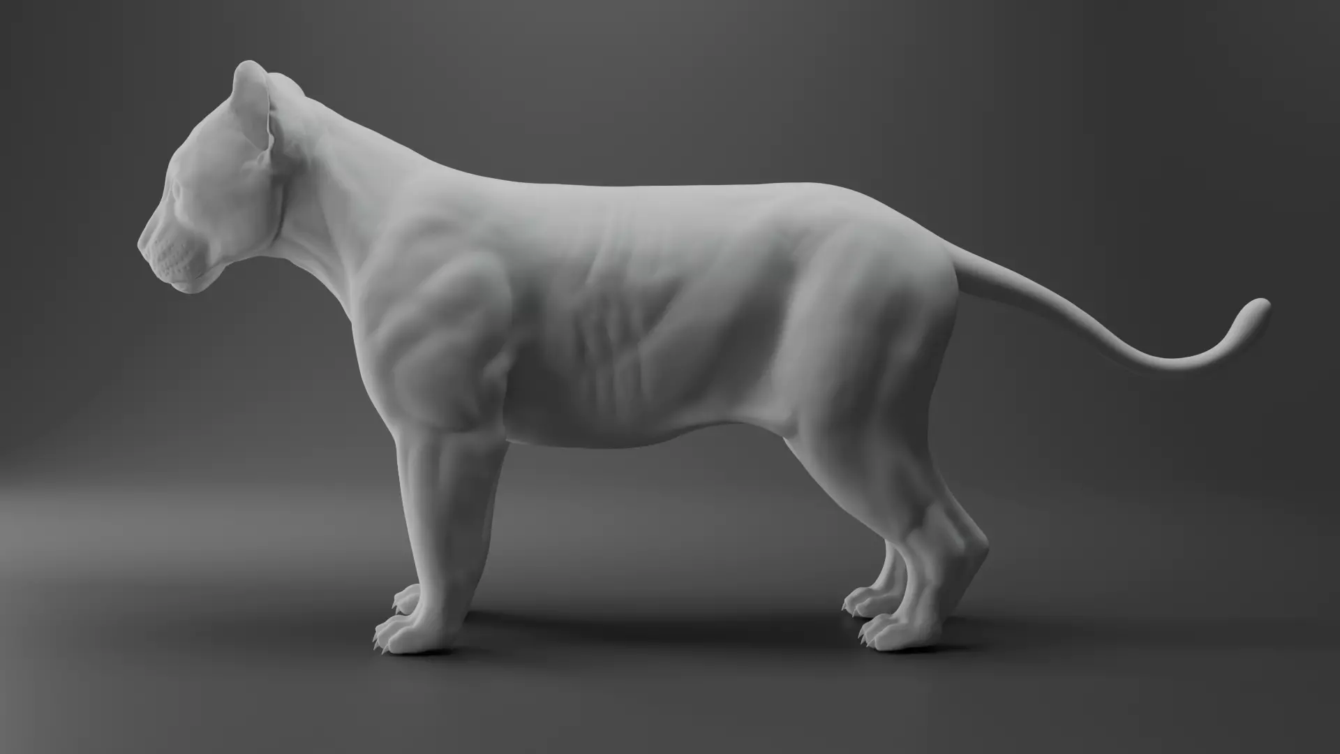Lion models Free low-poly 3D model