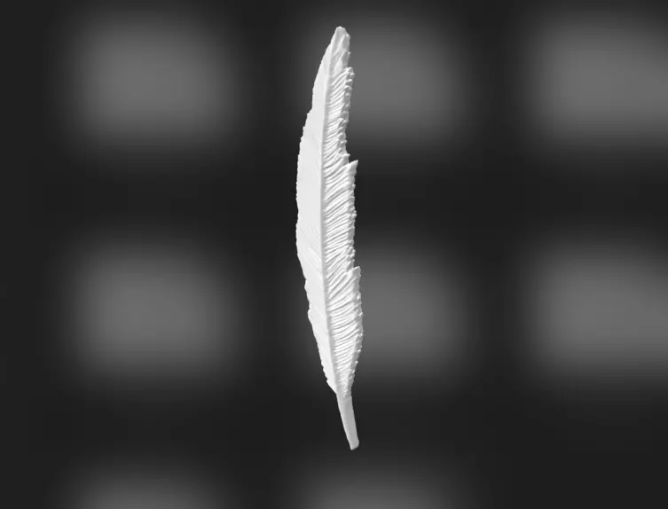 feather model free Free 3D model