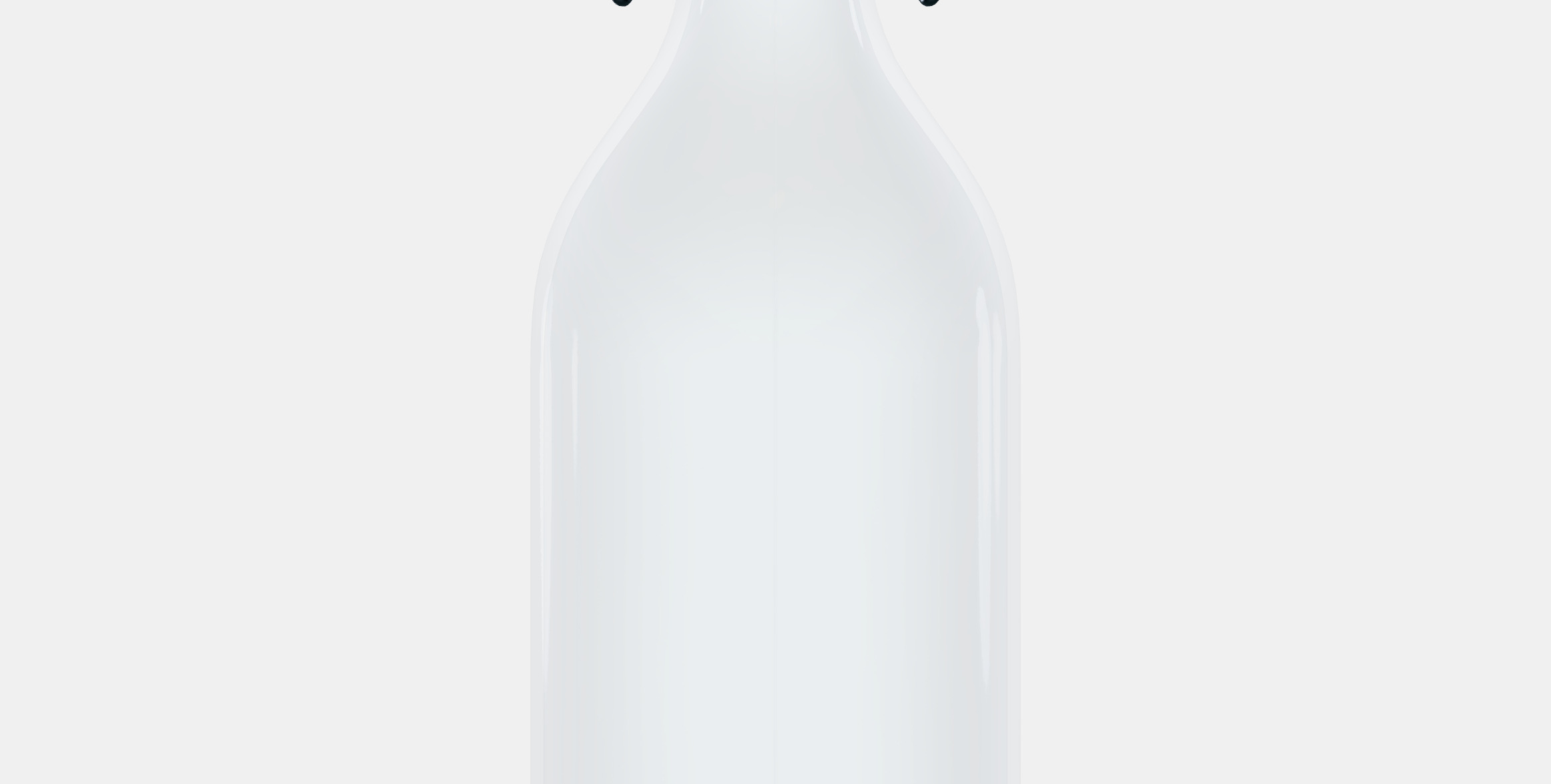 KORKEN bottle with cap 3D model_11