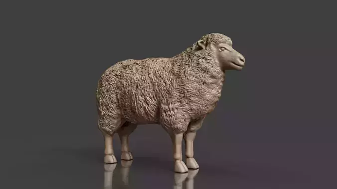 Farm Friends Series Sheep STL