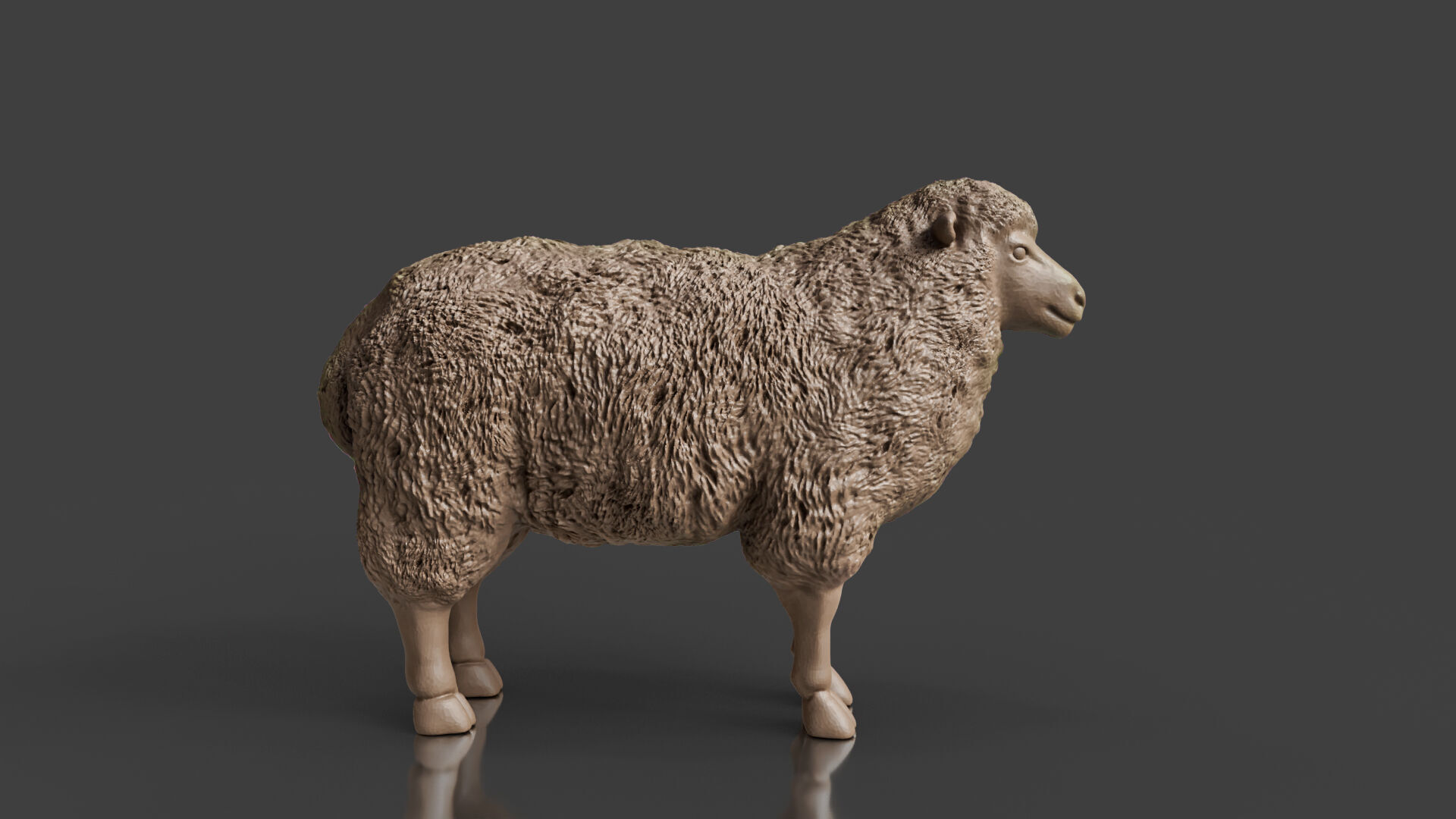 Farm Friends Series Sheep STL 3D print model_1