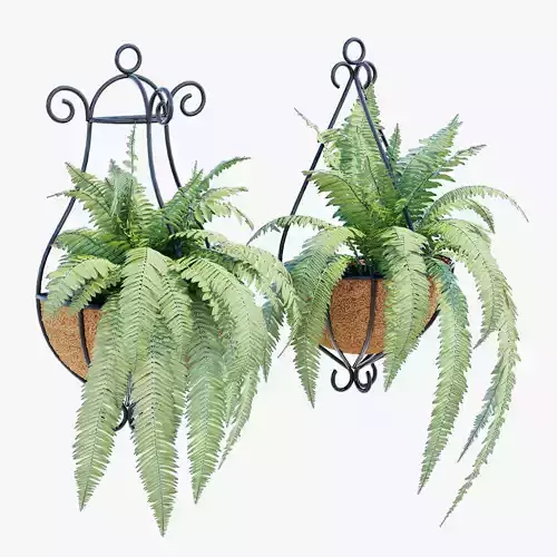 Spanish Wall Planters