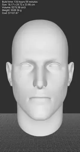 3d head model 