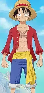 one piece cartoon character