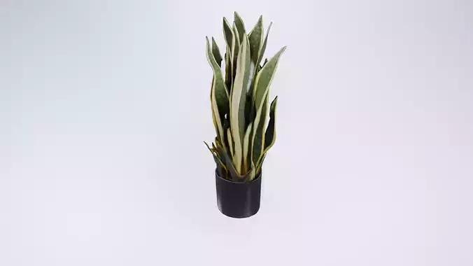 Low Poly Tall Plant in Pot - Stylized Static Model
