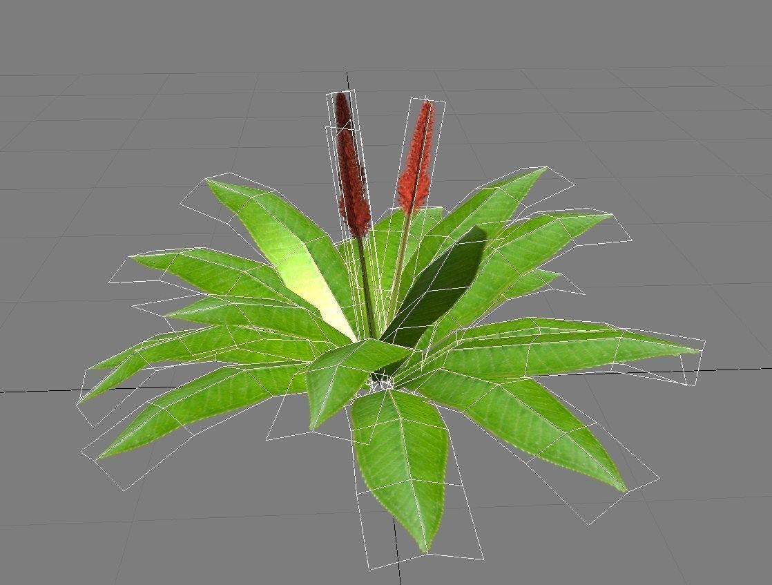 Tropical bushes low-poly Low-poly 3D model_8