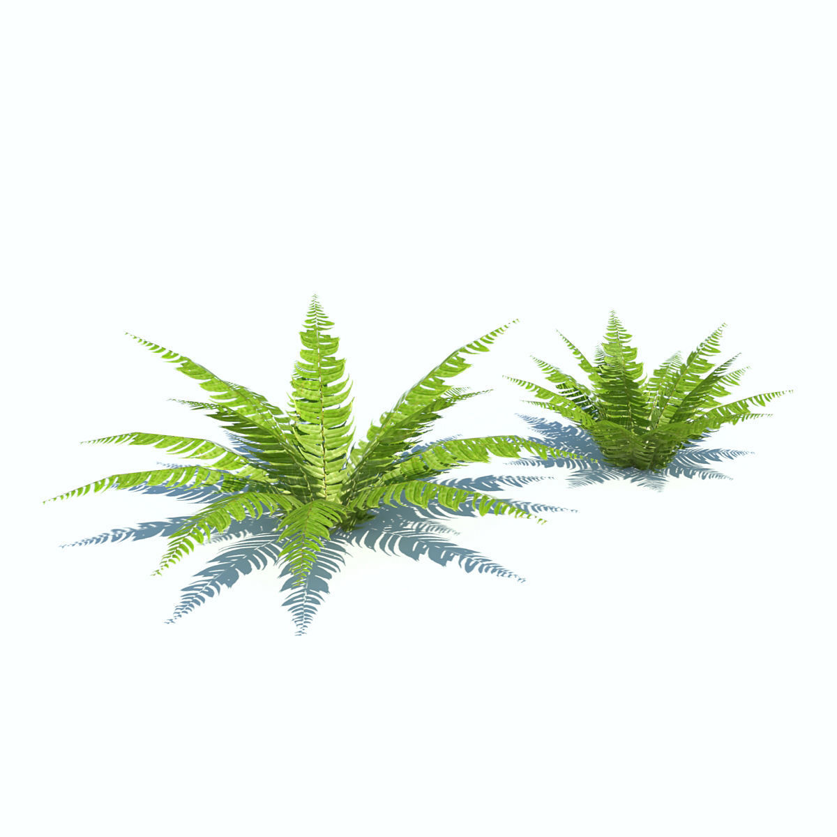 Tropical bushes low-poly Low-poly 3D model_6