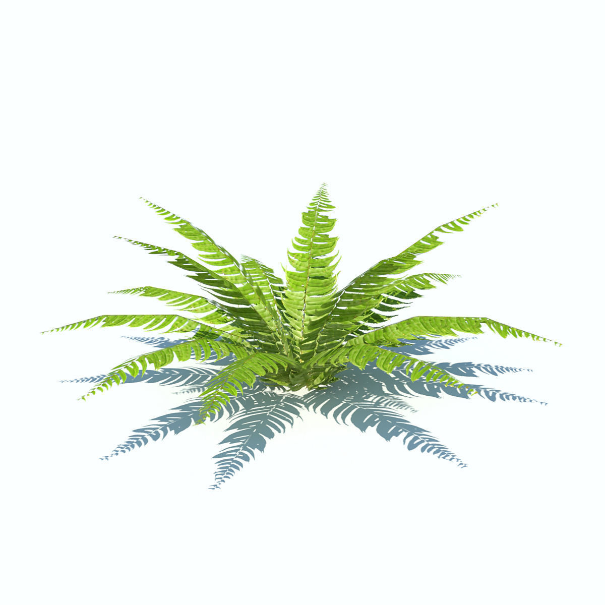 Tropical bushes low-poly Low-poly 3D model_5