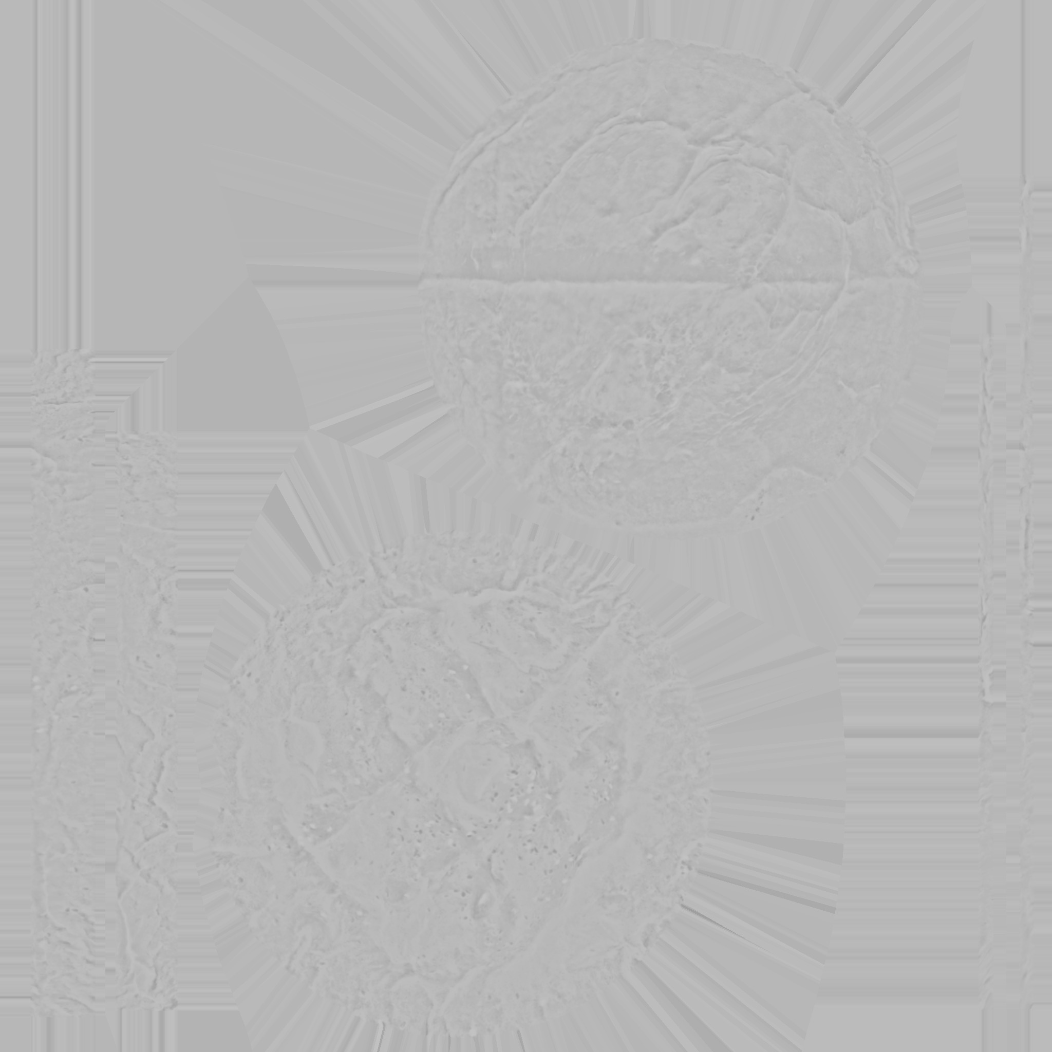 Turkish Flatbread Bread Low-poly 3D model_5