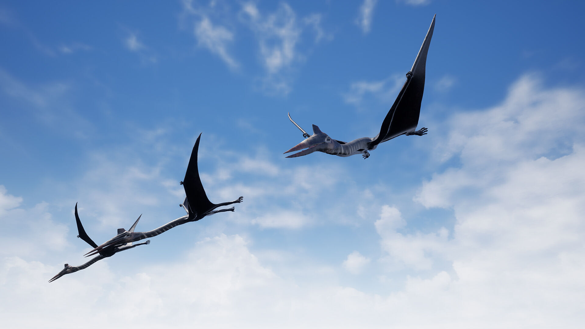 Dinosaur Quetzalcoatlus Giant Pterosaurs Unreal Engine Project Low-poly 3D model_17