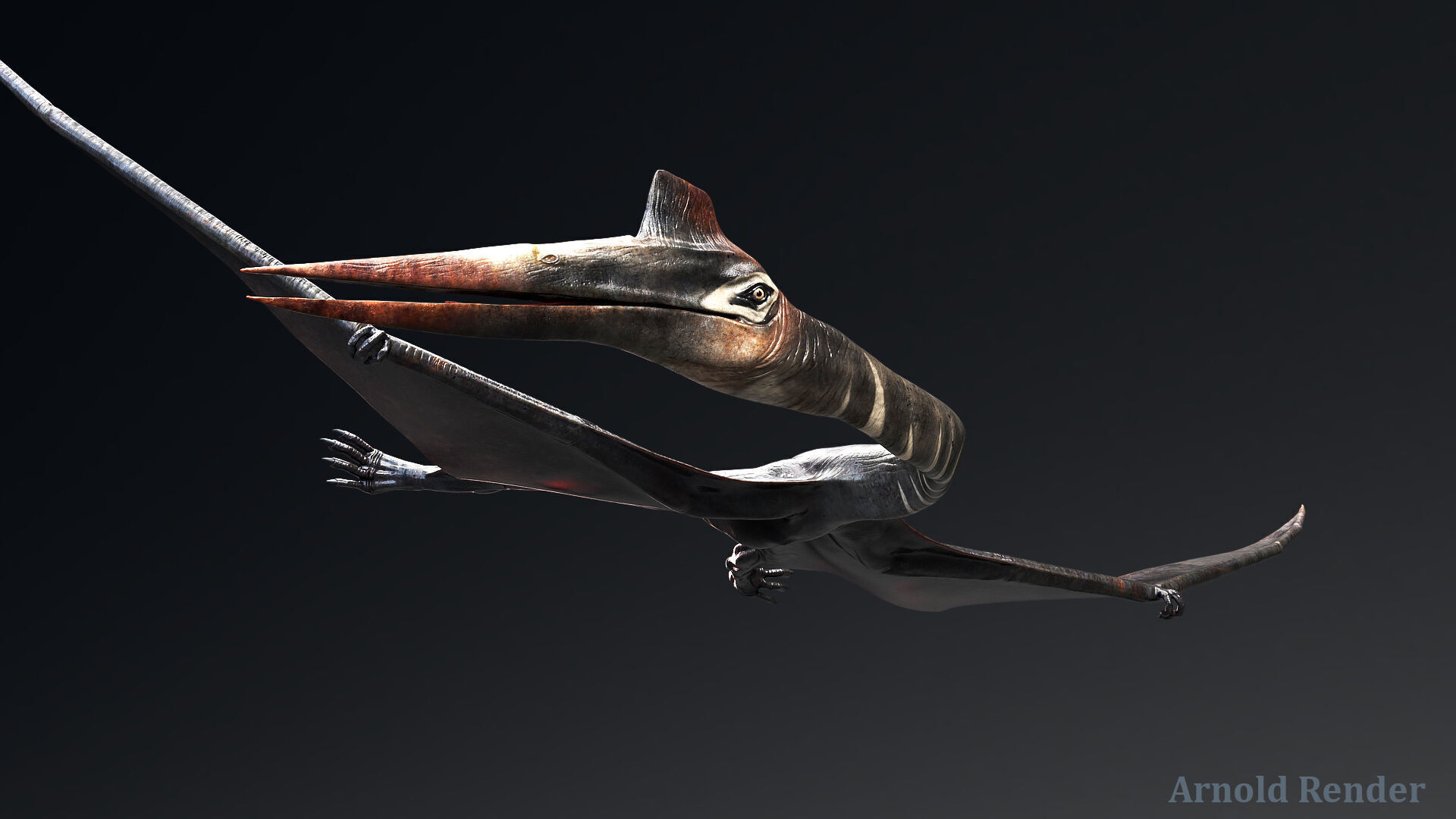 Dinosaur Quetzalcoatlus Giant Pterosaurs Unreal Engine Project Low-poly 3D model_4