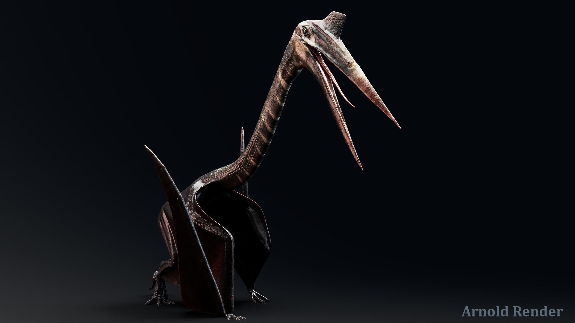 Dinosaur Quetzalcoatlus Giant Pterosaurs Unreal Engine Project Low-poly 3D model_3