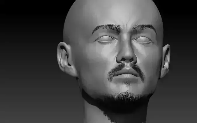 head model with fiber mesh