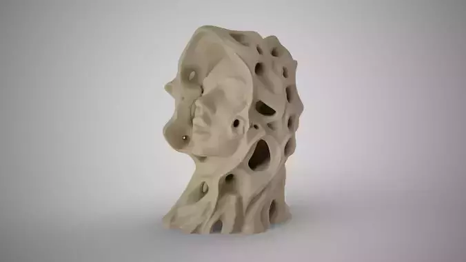 Abstract Woman Face 3D print model