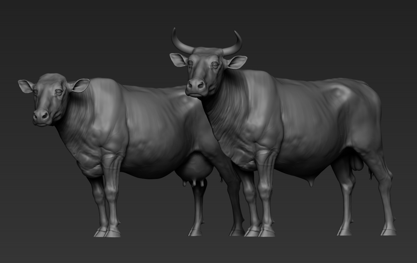Cow and Bull 3D print model_8