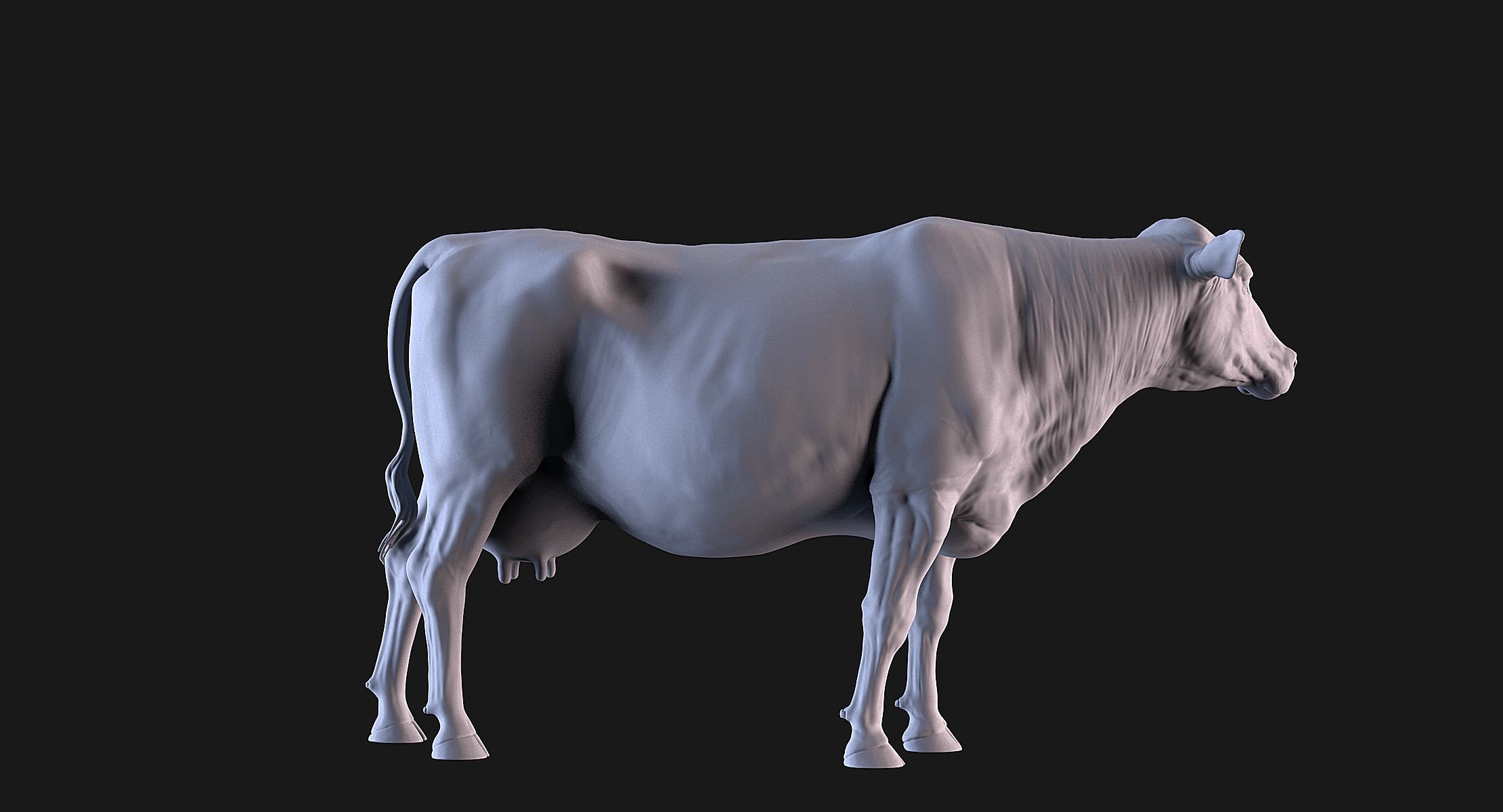 Cow and Bull 3D print model_4