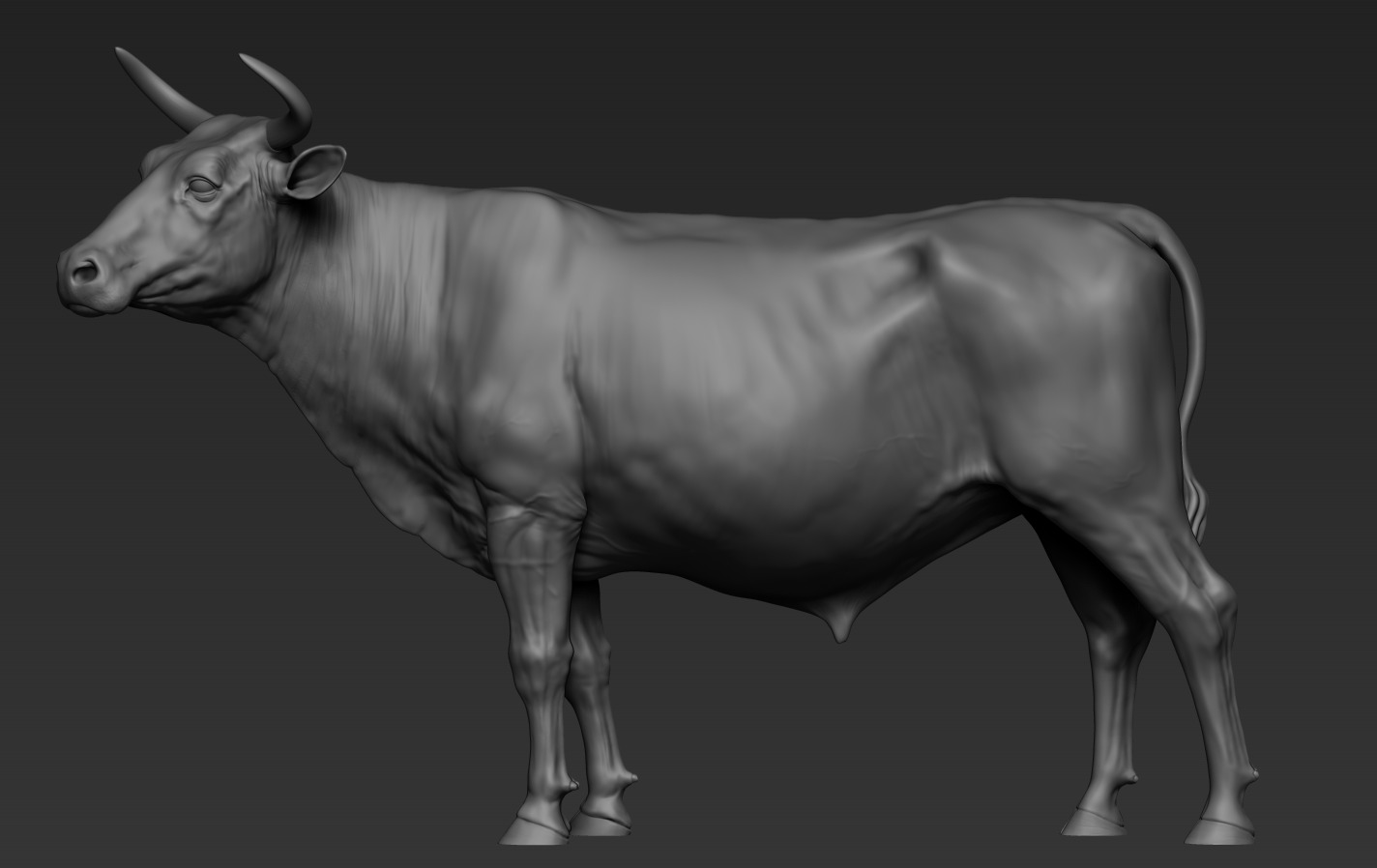 Cow and Bull 3D print model_11